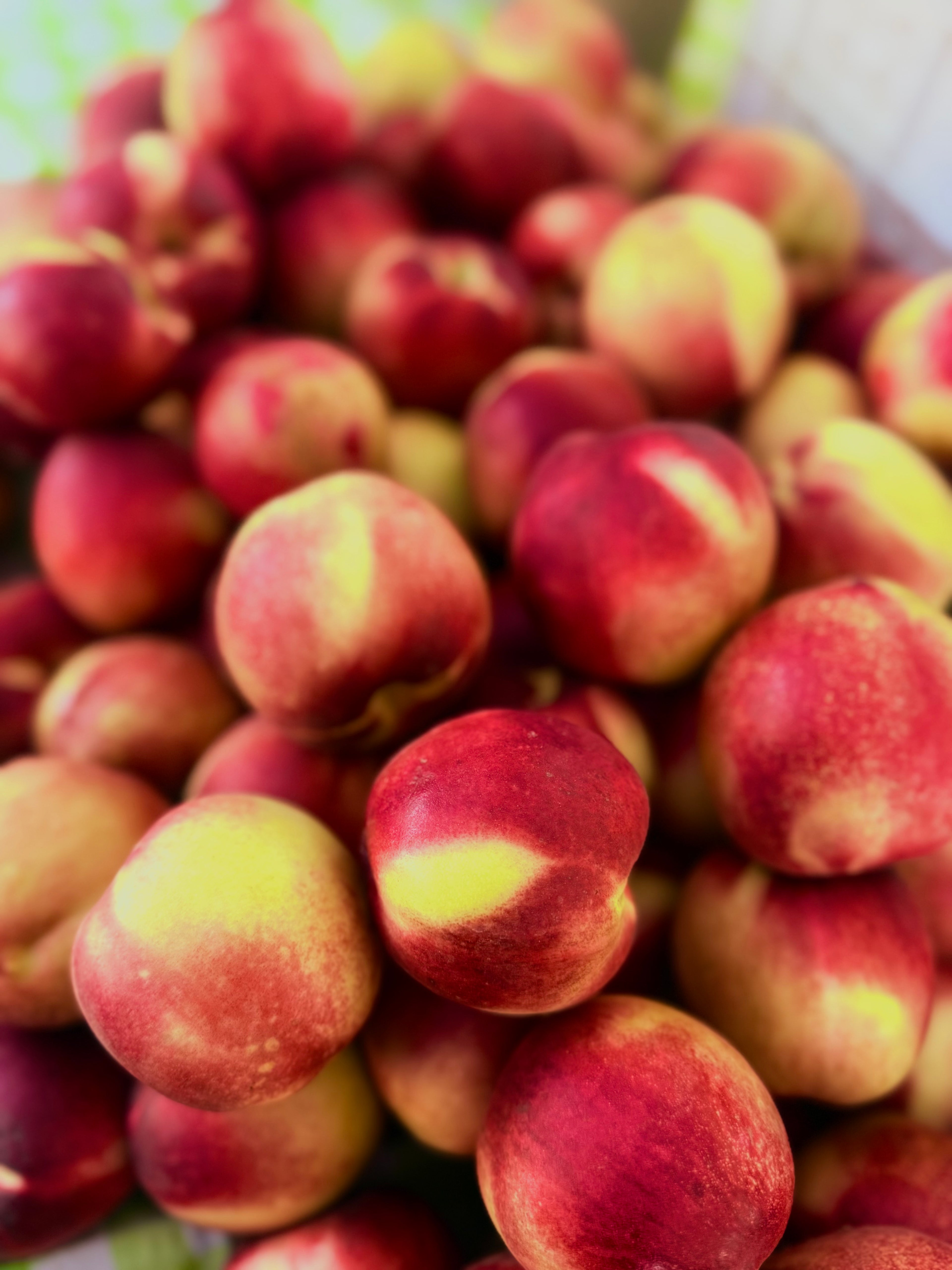 White Nectarine