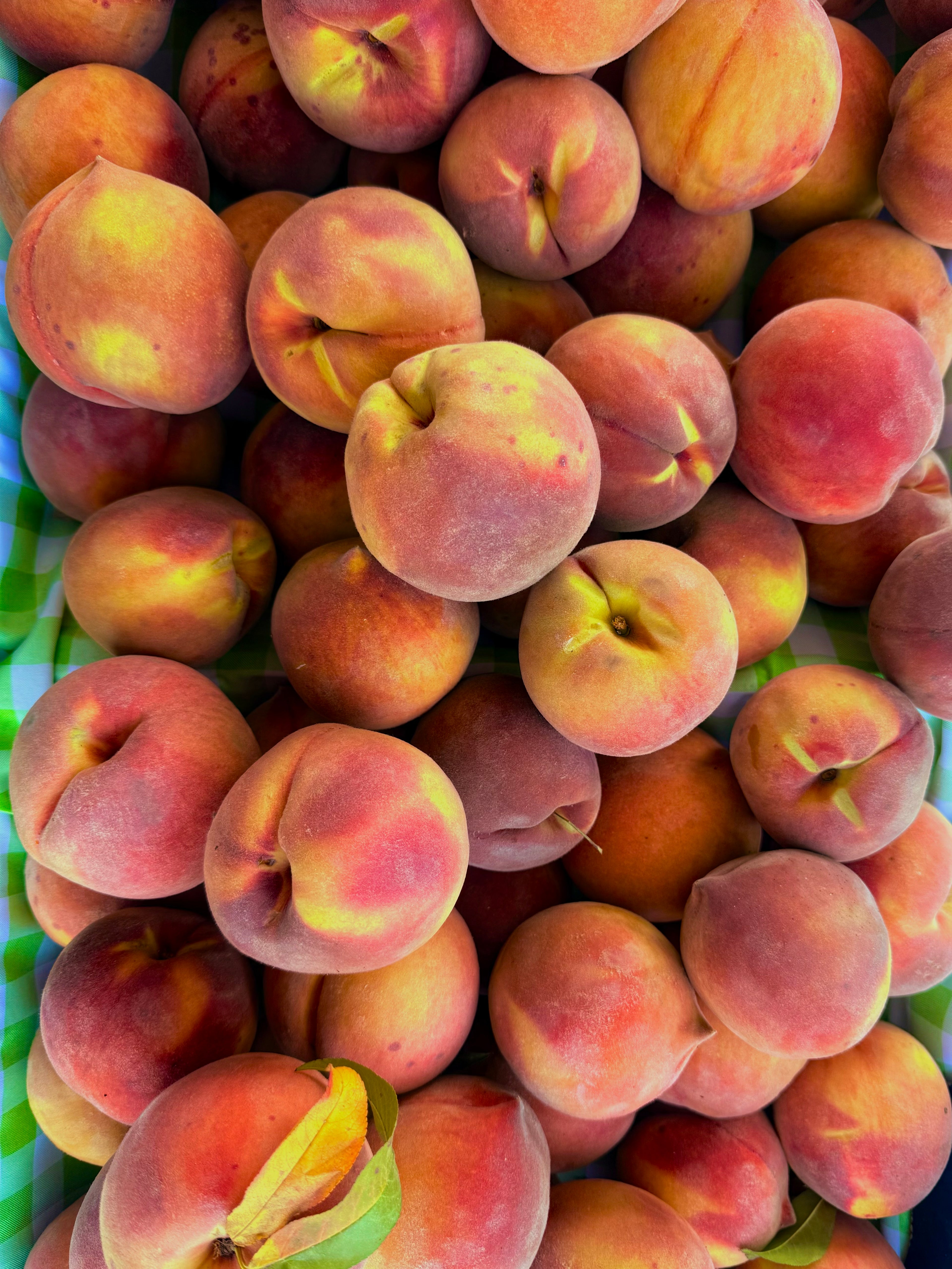 Yellow Peaches
