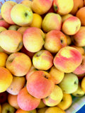 Fuji Apples