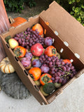 Seasonal Fruit Box