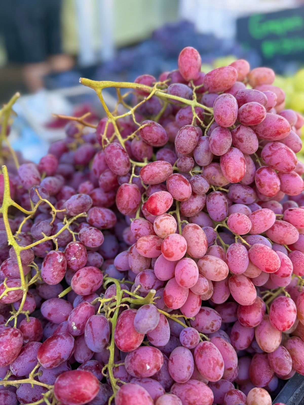 Red Vintage Grapes