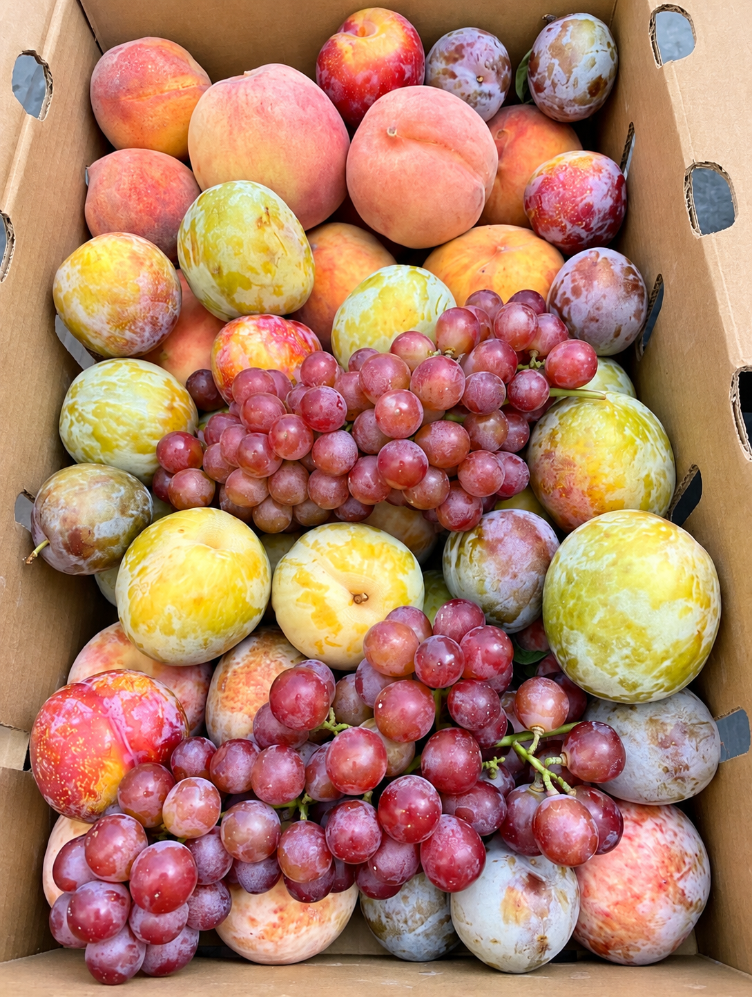 Build Your Own Fruit Box