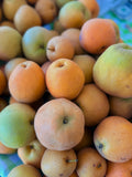 Asian Pears