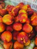 Yellow Nectarine