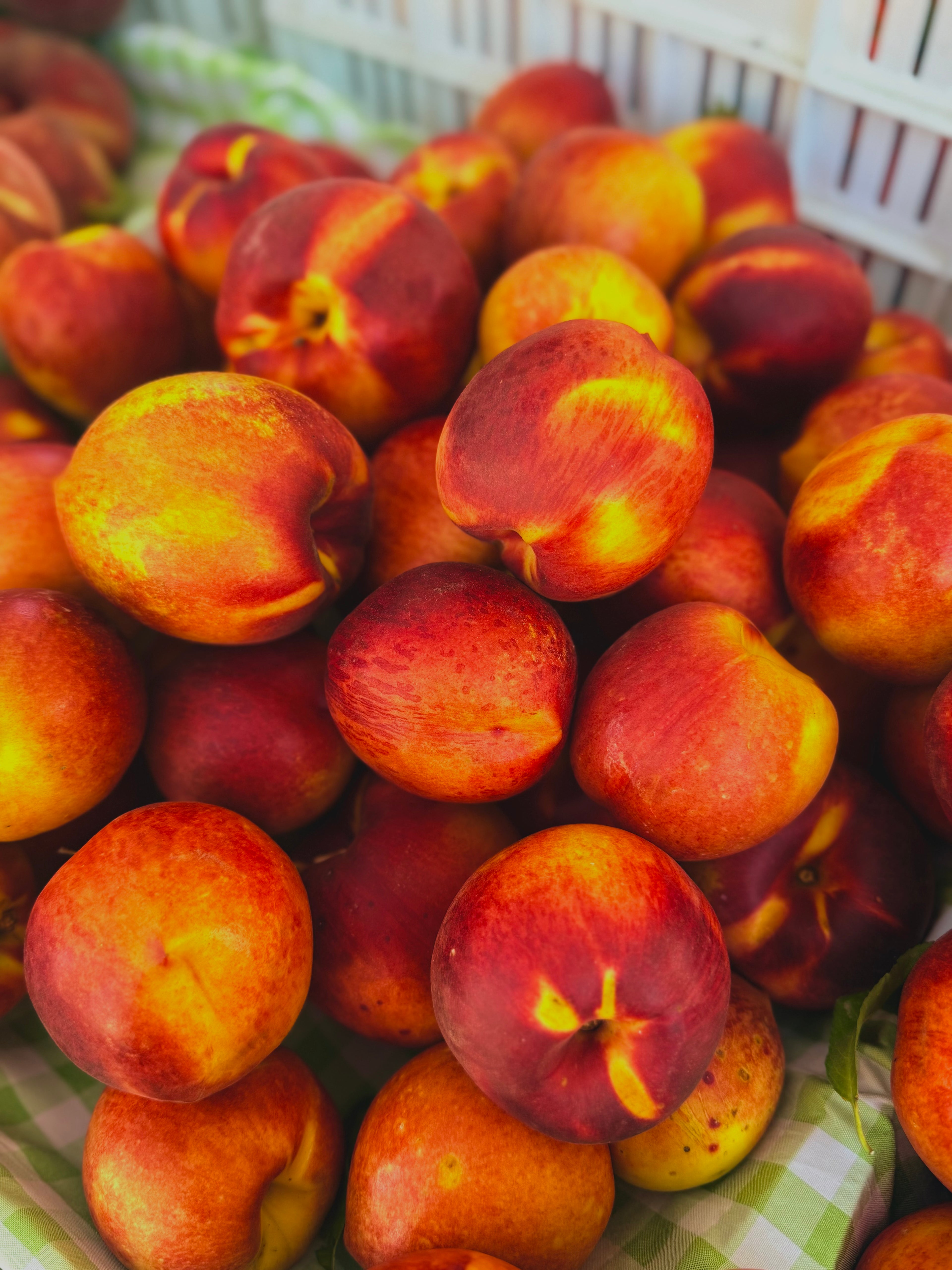Yellow Nectarine